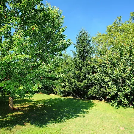 Goliath By Interhome * Balatonszarszo